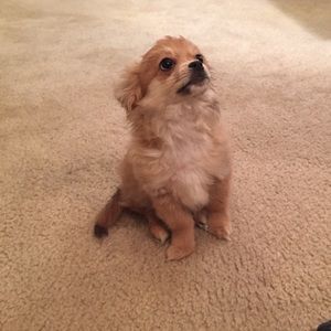 Meet your Posher, Jarian